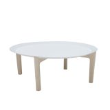 tray l